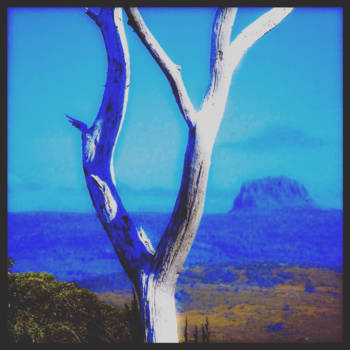 Cradle Mountain-Lake St. Clair National Park - First view of Cradle Mountain