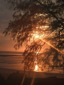 Broome - Zonsopkomst Broome