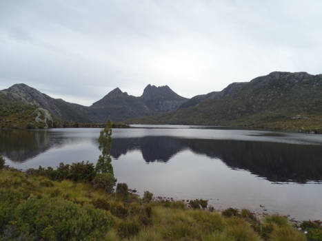 Cradle Mountain-Lake St. Clair National Park - Cradle Mountain NP