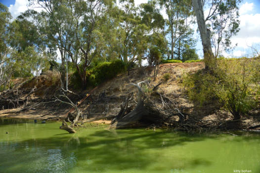 Victoria (Australië) - murray river echuca