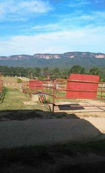 Sydney - Euroka Horse Riding