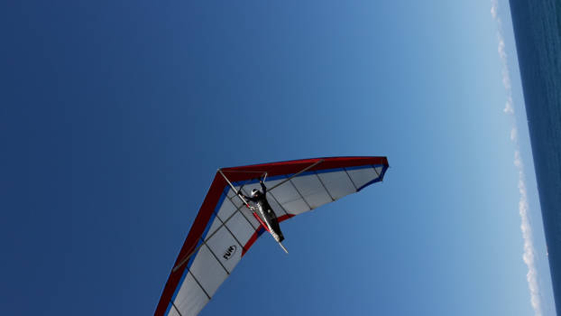 New South Wales - feel free