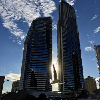 Gold Coast - A unique moment