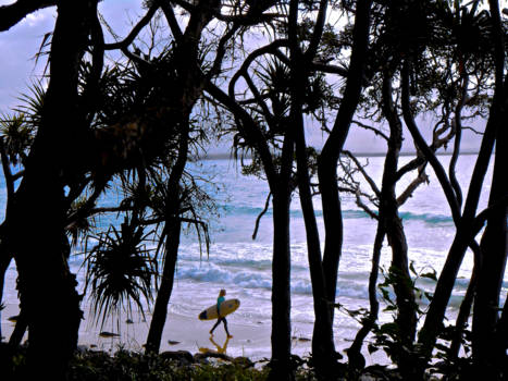 Noosa - "Het draait altijd om timing - de perfecte foto, de perfecte golf, de perfecte reis."