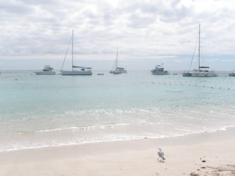 Western Australia - Serenity at Rottnest Island