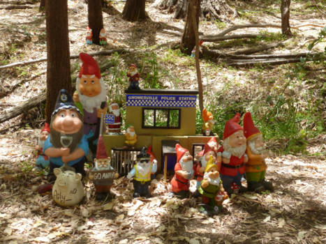 Western Australia - Het politiebureau op Gnomesville West Australie