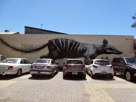 Western Australia - Een harige parkeerplaats @ Freemantle West Australie