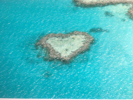 Great Barrier Reef - Great barrier reef, Australië