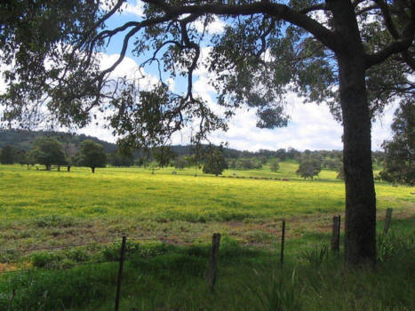 Western Australia - Vakantie!!