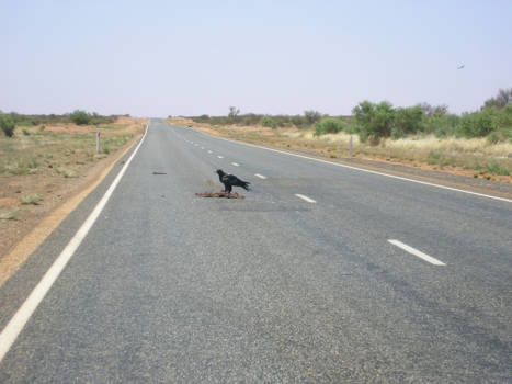 Northern Territory - Onderweg van Alice Springs naar Ayers Rock
