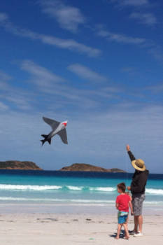 Esperance - Lucky Shark