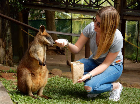 Cairns - Made a new friend