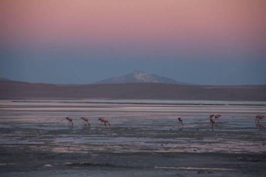 Uluru (Ayers Rock) - Sunset at Salar de Uyuni Bolivia