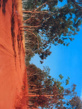 Kimberley (Australië) - Endless Roads.....Gibb River Road