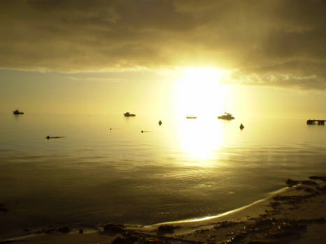 Monkey Mia - Sunset Monkey Mia, waiting for the dolphins