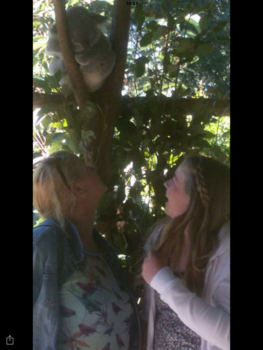 Brisbane - australia zoo