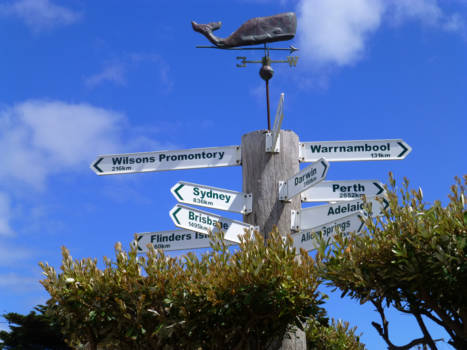 New South Wales - Far away from home