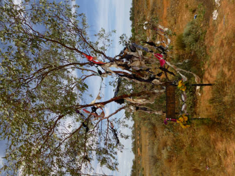 New South Wales - Maree Kester