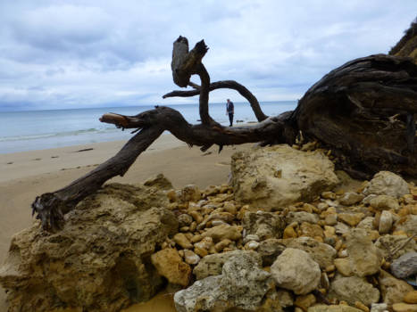 New South Wales - On The Great Ocean Road