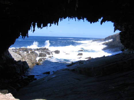 Kangaroo Island - Lazy afternoon at Seal Bay kangaroo Island