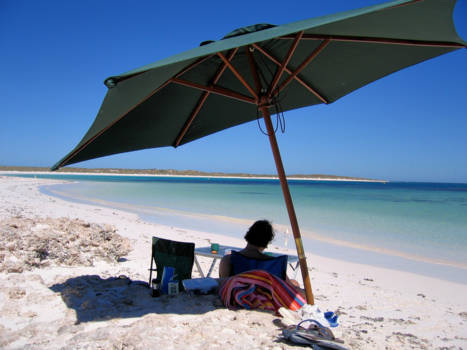 Rottnest Island - Exclusive picnic at Turtle Bay (East Wallabi Island West-Australia)
