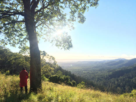 Bunya National Park - Goodmorning Australia #morningpiss
