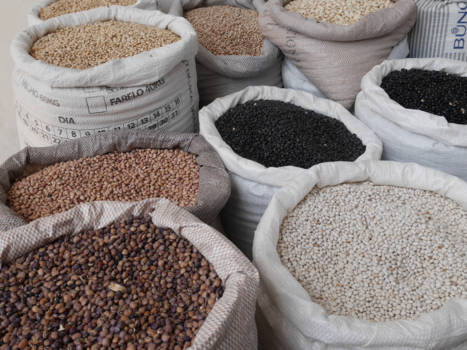 Taste of Tasmania festival - Beans in Brazilie