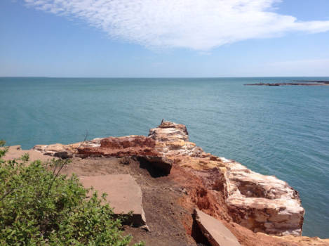 Northern Territory - Bird with a view
