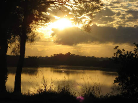 Queensland - Even in this busy world you can find, people who still have the time to be kind!