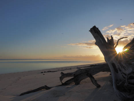 Great Barrier Reef - Coral cay sunrise