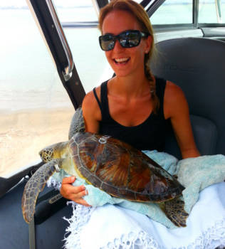 Queensland - Turtle Conservation at the Quoin Island Sea Turtle Rehabilitation Centre