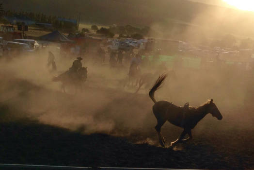 Tasmanië - Great day at Melton Mobray Rodeo at beautiful Tasmanie!