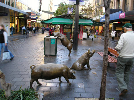 Australian Open - Adelaide: Truffles, Horatio, Oliver and Augusta give us a welcome in the city.
