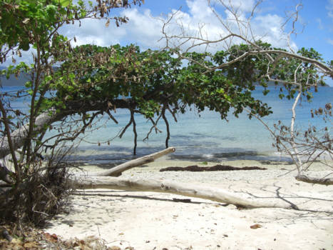 Queensland - Fitzroy Island