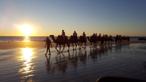 Western Australia - Camels on Cable Beach