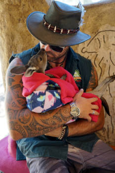 Western Australia - Tough guys like to cuddle a roo too