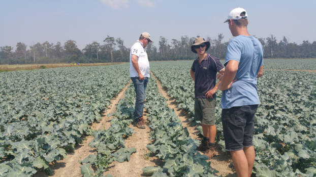 Tasmanië - De oogst bekijken op het stageadres in Launceston