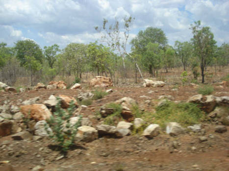 New South Wales - The real outback