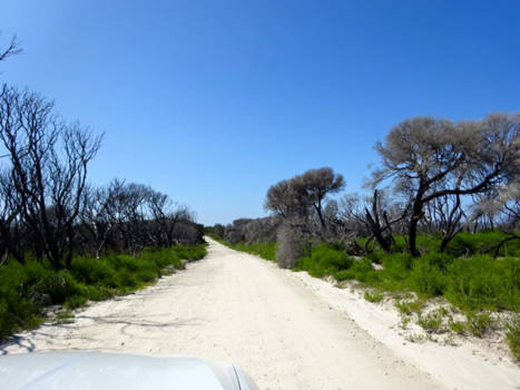 Victoria (Australië) - On the road