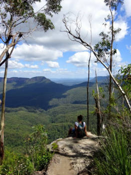 Blue Mountains - View blue mountains