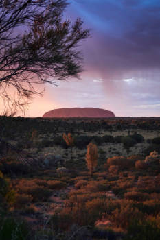 Uluru (Ayers Rock) - Uluru - zelfs een bewolkte en regenachtige zonsopgang is mooi