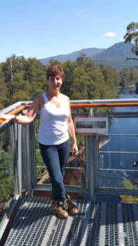 Tasmanië - Tahune Airwalk in Geeveston