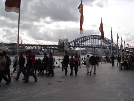 Sydney Harbour Bridge - Het is een hele gezellige dag!