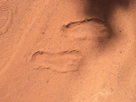 Queensland - Connect to Mother Earth