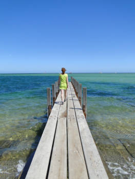 Shark Bay - Zo mooi is blauw...