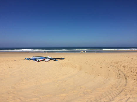 Queensland - Surfkamp