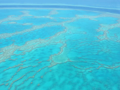 Great Barrier Reef - Great Barrier Reef Australië
