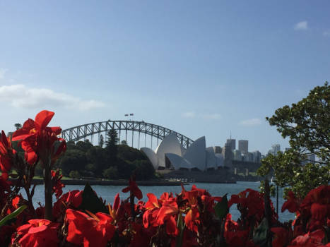 New South Wales - colorful Sydney!