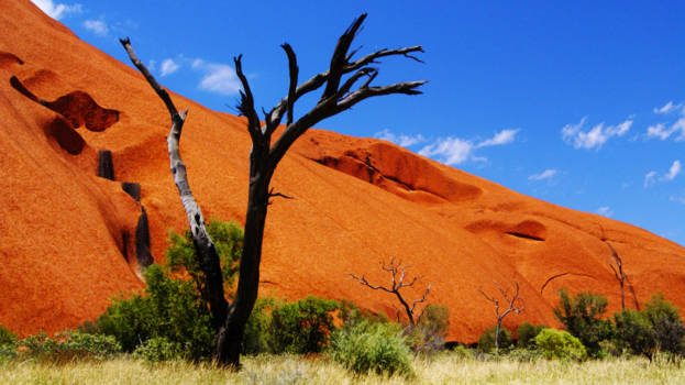 Kings Canyon - Kings Canyon, Australia