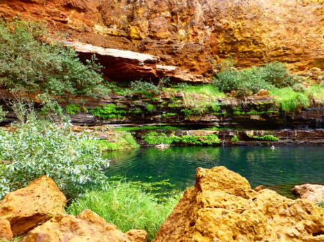 Karijini National Park - Fern pool